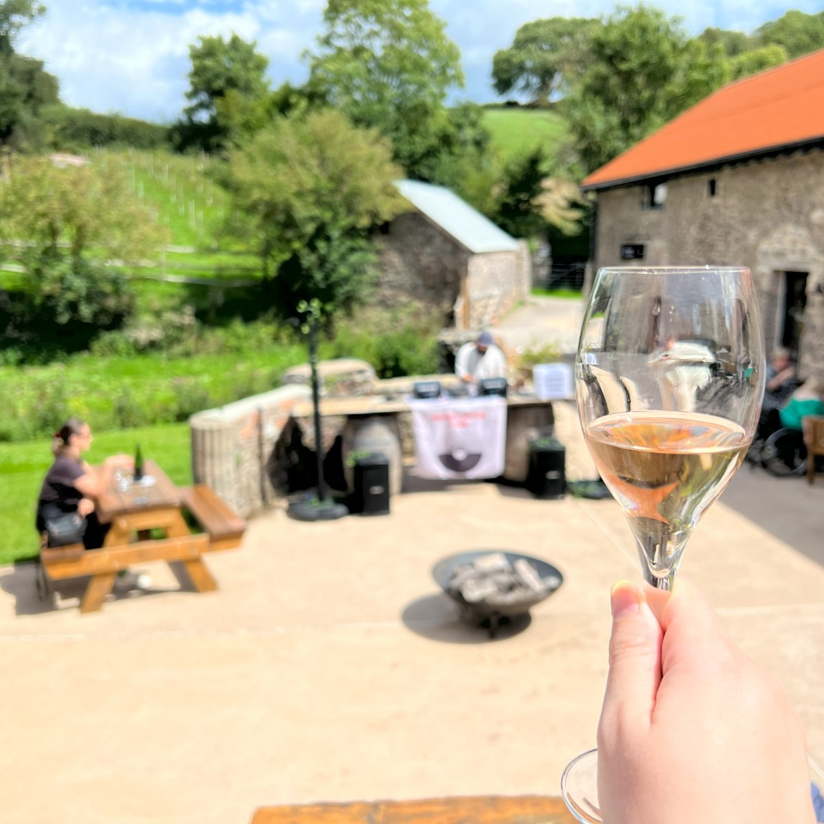 Sandridge Barton (The Home of Sharpham Wine), South&nbsp;Devon